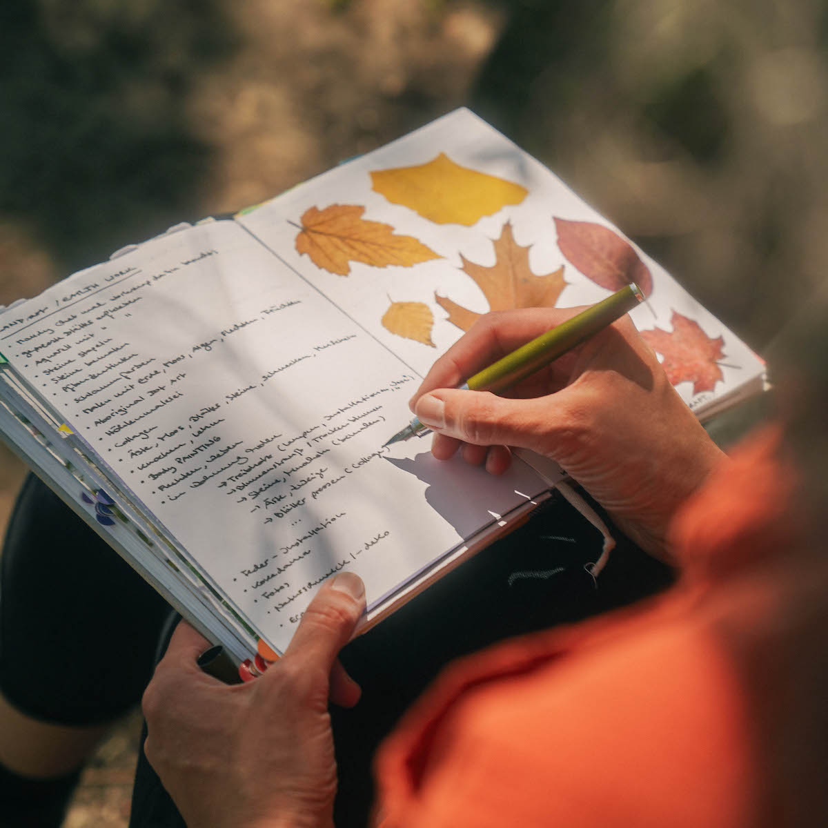 MomentumNATUR – Naturcoaching, Führungen & Workshops