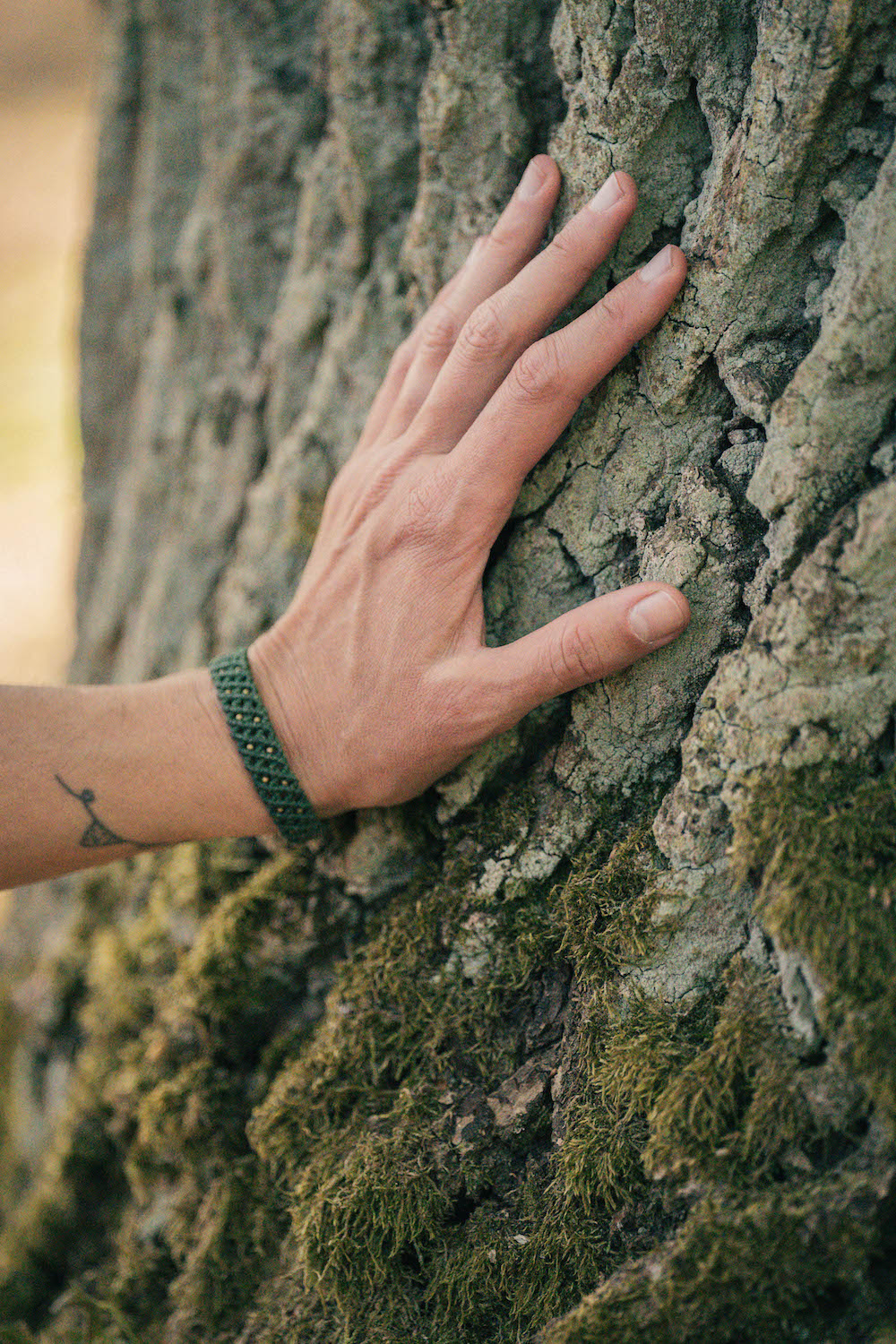 MomentumNATUR – Naturcoaching, Führungen & Workshops in Potsdam, Berlin und Umgebung