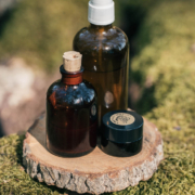 MomentumNATUR – Naturcoaching, Führungen & Workshops in Potsdam, Berlin und Umgebung