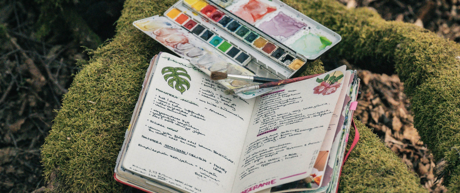 MomentumNATUR – Naturcoaching, Führungen & Workshops in Potsdam, Berlin und Umgebung