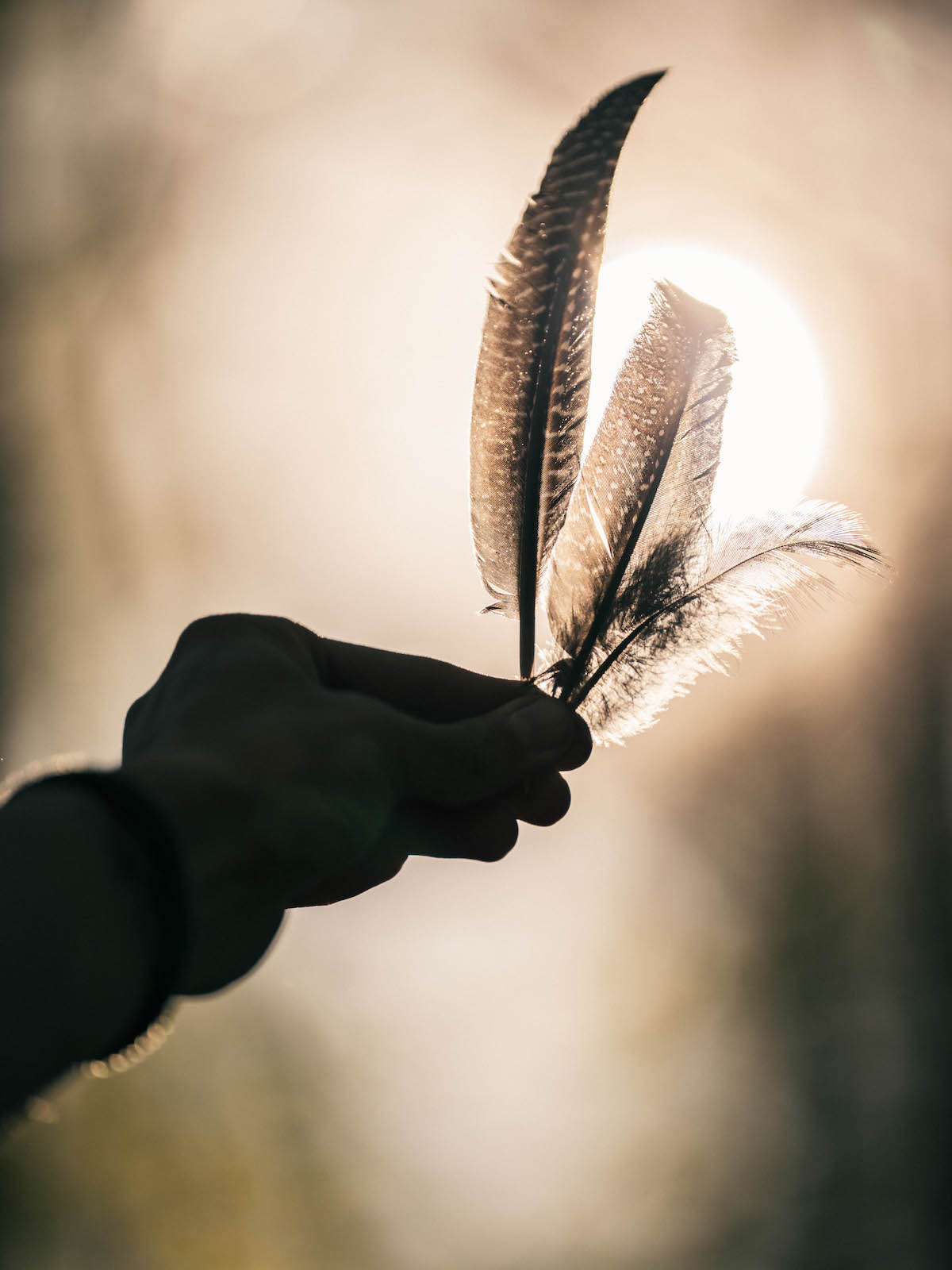 MomentumNATUR – Naturcoaching MomentumNATUR – Naturcoaching, Führungen & Workshops in Potsdam, Berlin und Umgebung
