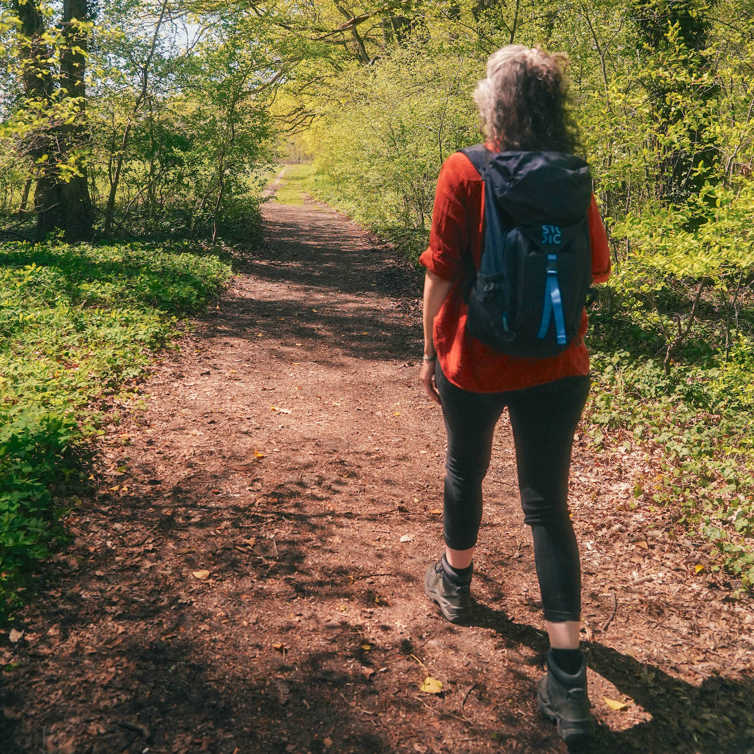 MomentumNATUR – Naturcoaching, Führungen & Workshops in Potsdam, Berlin und Umgebung