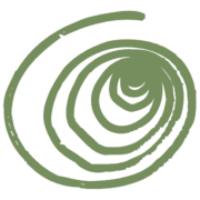 MomentumNATUR – Naturcoaching, Führungen & Workshops in Potsdam, Berlin und Umgebung